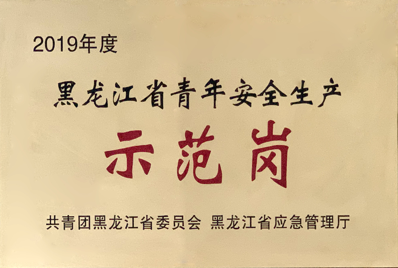 青年安全生產(chǎn)示范崗.jpg